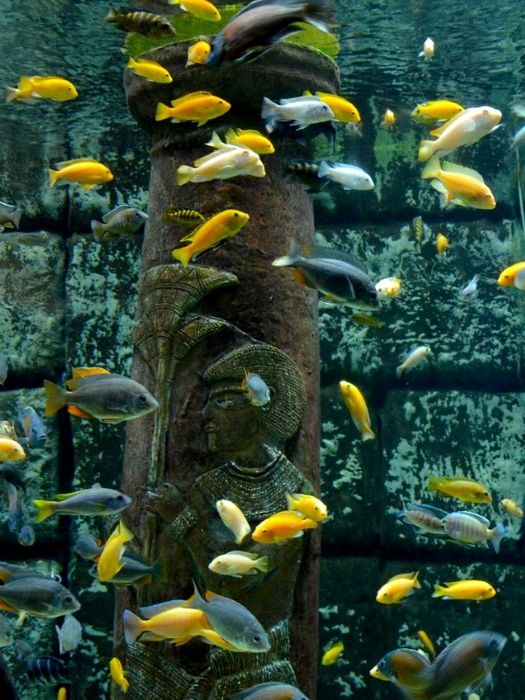 Ausflug zum Antalya Aquarium