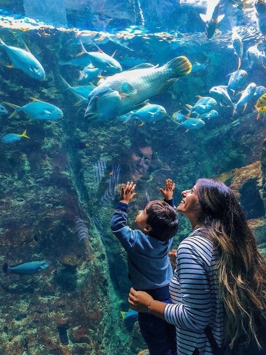 Ausflug ins Aquarium in Istanbul