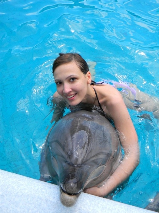 Schwimmen mit Delfinen in Alanya