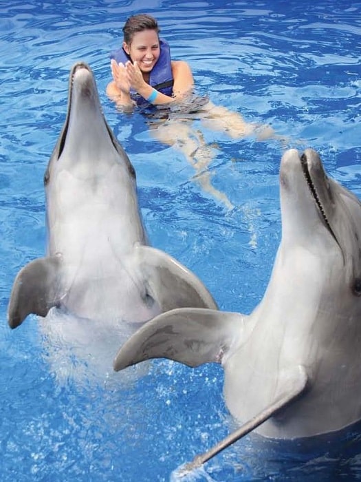 Schwimmen mit Delfinen in Antalya