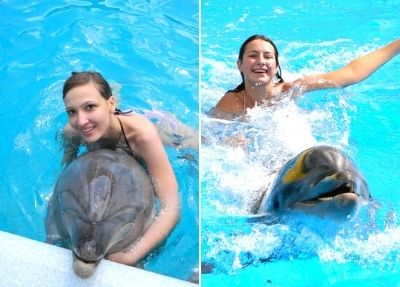 Schwimmen mit Delfinen in Antalya