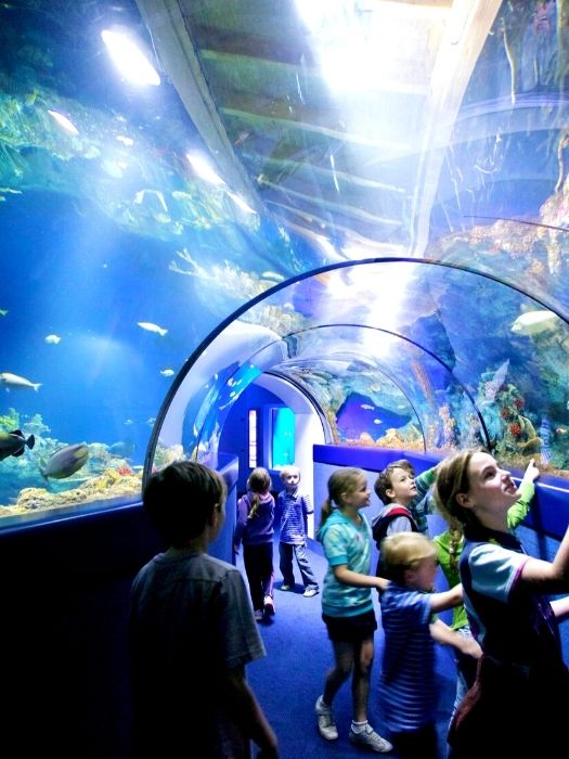 Antalya Aquarium Tour von Alanya