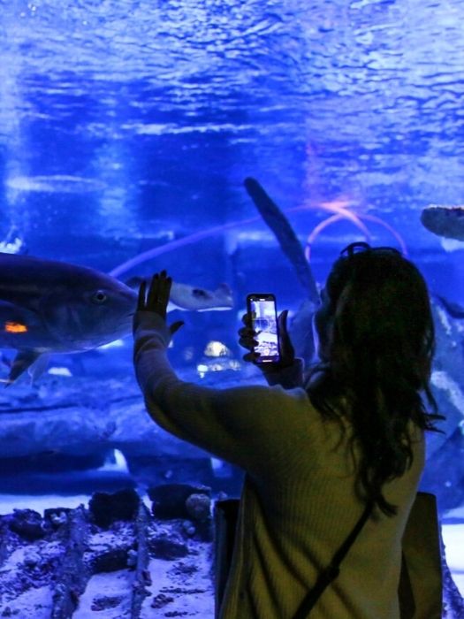 Antalya Aquarium Tour von Belek