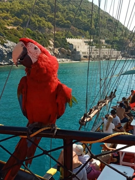 Bootsfahrt auf einem Piratenschiff in Antalya
