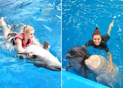 Schwimmen mit Delfinen in Belek