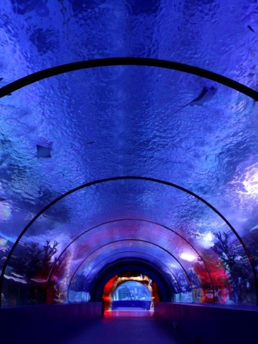 Antalya Tunnel Aquarium von Kemer
