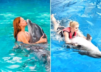 Schwimmen mit Delfinen in Kemer