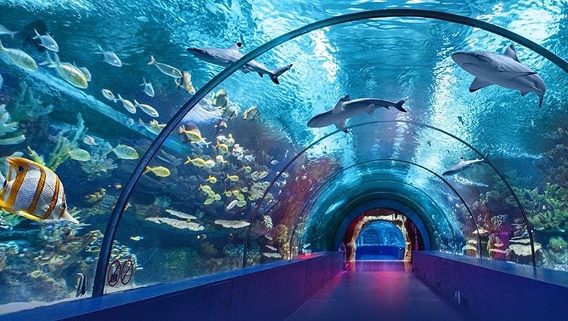Side nach Antalya Aquarium